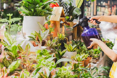 Téléchargez les photos : Femme pulvérisation usine tout en travaillant dans le magasin de plantes - en image libre de droit