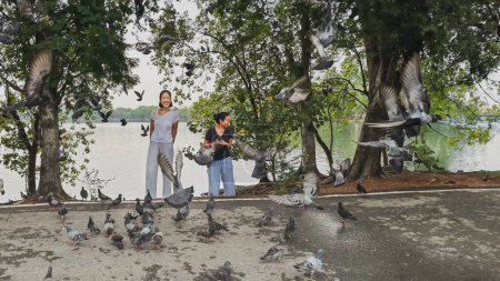 Téléchargez les photos : Deux femelles aiment nourrir les oiseaux dans le parc - en image libre de droit