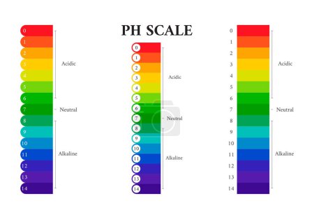 Illustration for Ph scale chart indicator diagram value, alkaline, neutral, acidic to base - Royalty Free Image