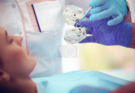 Photo for Portrait of a dentist who treats teeth of young woman patient. - Royalty Free Image
