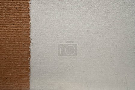 Photo for Handmade artisan eco paper with deckled edges and natural fibres texture. Blank copy space background. - Royalty Free Image