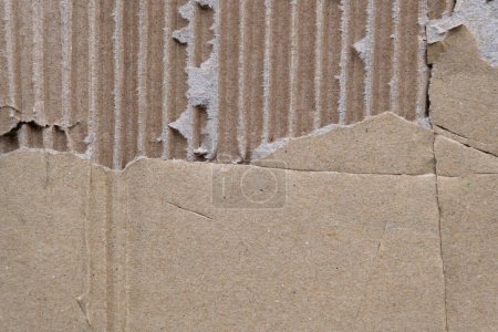 Photo for Detail of torn corrugated cardboard grunge texture - Royalty Free Image