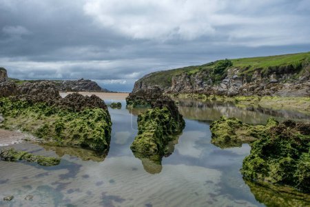 Foto de Playa con rocas sedimentarias cubiertas de musgo verde en Playa Virgen del Mar, Costa Quebrada, Cantabria, España - Imagen libre de derechos