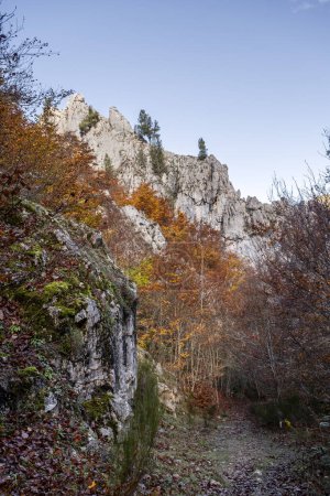 Téléchargez les photos : Paysage d'automne dans la forêt d'Argovejo, province de Léon, Espagne - en image libre de droit