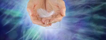 Photo for Angel feather message banner template - female cupped hands containing single white fluffy feather against blue green ethereal background of flowing feathers with copy space - Royalty Free Image