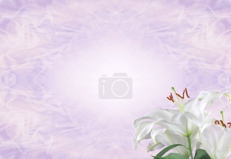 Foto de Lilac Funeral Wake Order of Service Lily Template - white lily head against a subtle angelic ethereal gaseous pastel coloured background with copy space - Imagen libre de derechos
