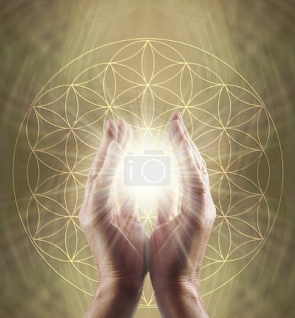 Photo for Healing Hands and Flower of Life Symbol Message Background - male parallel hands with white star light between against a golden Flower of Life background ideal for a spiritual holistic healing theme - Royalty Free Image