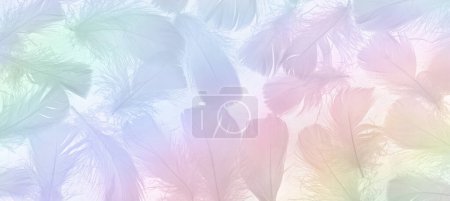 Foto de Hermoso y delicado fondo de plumas esponjosas de color arco iris - plumas blandas esparcidas aleatoriamente en tonos pastel ideales para una invitación espiritual, cupón de regalo, certificado, premio, anuncio o encabezado web - Imagen libre de derechos