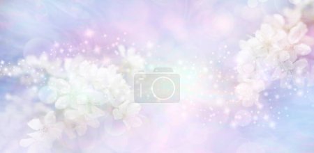 Téléchargez les photos : Fond de bannière de message surprise fleur de lilas rose pâle - brins de fleur blanche de chaque côté de l'explosion de lumière blanche d'étincelles sur fond de bokeh pastel avec espace pour la copie idéal pour les mariages - en image libre de droit