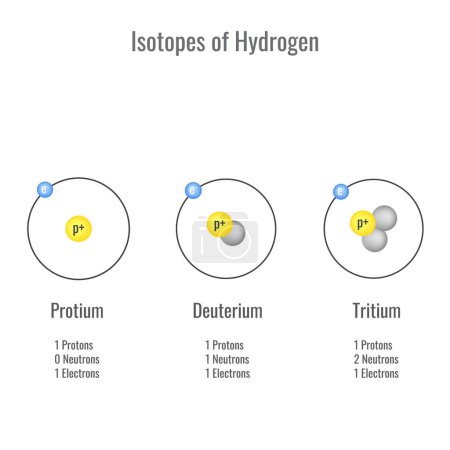 Isotopes of Hydrogen vector illustration