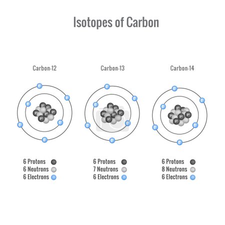 Illustration for Isotopes of Carbon vector illustration - Royalty Free Image