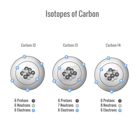 Téléchargez les illustrations : Isotopes of Carbon 3D vector illustration - en licence libre de droit