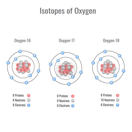 Téléchargez les illustrations : Isotopes of oxygen vector illustration - en licence libre de droit