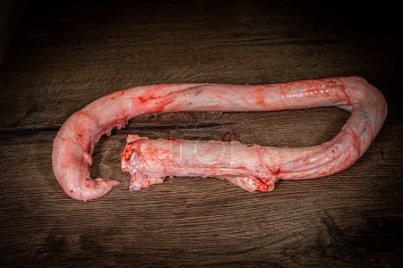 Téléchargez les photos : Raw bull penis on wooden background. Fresh bull penis for sale. Reproductive genitals of a bull - en image libre de droit
