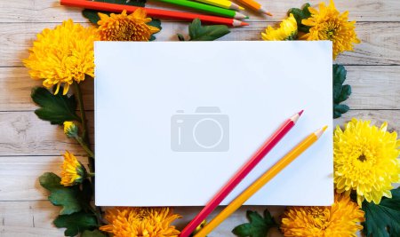 Chrysantemum autumn bouquet pencils copy space blanc paper colored colorful mock up