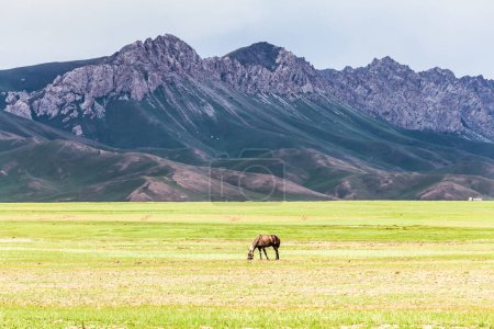 Foto de Hermosa vista de las montañas Pamir en la zona de Sary-Mogul - Imagen libre de derechos