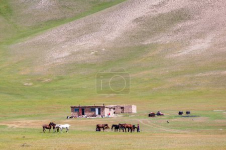 Foto de Hermosa vista de las montañas Pamir en la zona de Sary-Mogul - Imagen libre de derechos