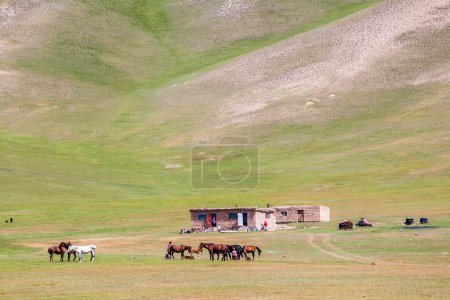 Photo for Beautiful view of the Pamir mountains in the Sary-Mogul area - Royalty Free Image