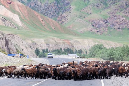 Foto de OSH, KYRGYZSTAN - CIRCA JUNIO 2017: Camino de Osh a Sara Tash en Kirguistán alrededor de junio de 2017 en Osh. - Imagen libre de derechos