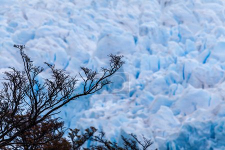 Photo for Perito Moreno Glacier, Los Glaciares National Park, Argentina. - Royalty Free Image