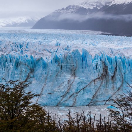 Téléchargez les photos : Glacier Perito Moreno, Parc National Los Glaciares, Argentine. - en image libre de droit