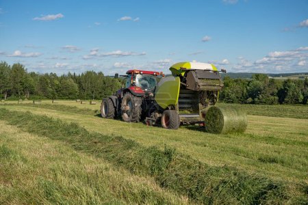 Baling hay using a modern round hay baler in the fields. Harvesting hay.  Hay Harvest. Agriculture.  Agricultural machinery. 
