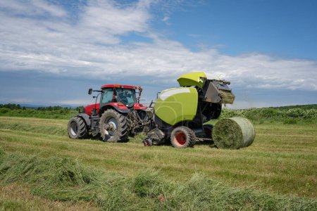 Photo for Baling hay using a modern round hay baler in the fields. Harvesting hay.  Hay Harvest. Agriculture.  Agricultural machinery. - Royalty Free Image