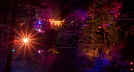 Photo for Illuminations around the lake at Blue Pool in Dorset - Royalty Free Image