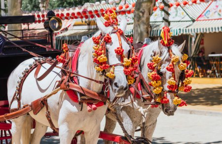 Adorned horses at Seville April Fair, showcasing vibrant decorations, embodying the event lively and colorful atmosphere.