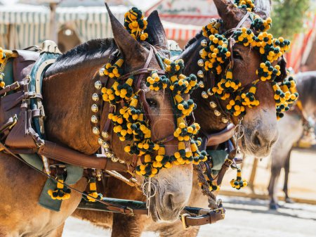 Adorned horses at Seville April Fair, showcasing vibrant decorations, embodying the event s lively and colorful atmosphere.