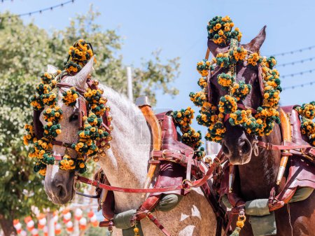 Adorned horses at Seville April Fair, showcasing vibrant decorations, embodying the event lively and colorful atmosphere.