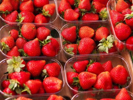 Ripe red strawberries displayed in plastic containers.