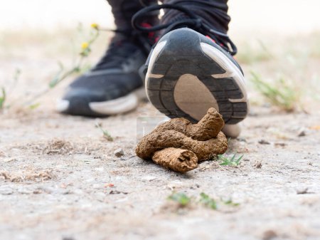 A person is about to step on dog poop while walking
