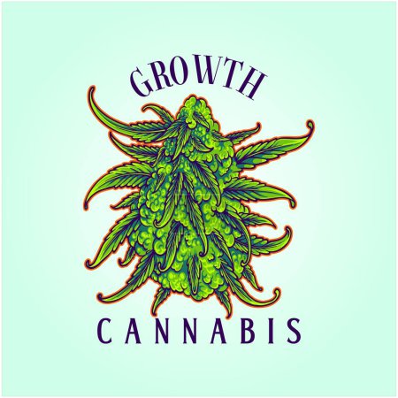Ilustración de Cannabis sativa buds nature botanical benefits illustrations vector illustrations for your work logo, merchandise t-shirt, stickers and label designs, poster, greeting cards advertising business company or brands - Imagen libre de derechos