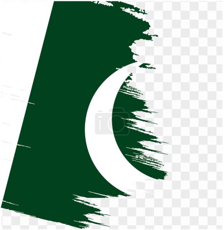 Pakistan flag with brush paint textured isolated  on png or transparent background. vector illustration
