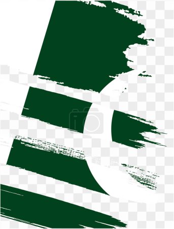Pakistan flag with brush paint textured isolated  on png or transparent background. vector illustration