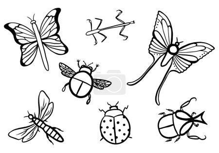 Téléchargez les illustrations : Bugs et papillons vecteur doodle set - en licence libre de droit