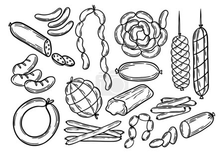 Different types of sausages outline. Sausage engraving, line art vector illustration. Meat products