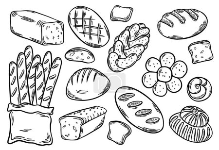 Verschiedene Brotsorten werden vorgestellt. Brotgravur, Zeilenkunst-Vektor-Illustration. Weizenprodukte, Backwaren, Backwaren, Gebäck
