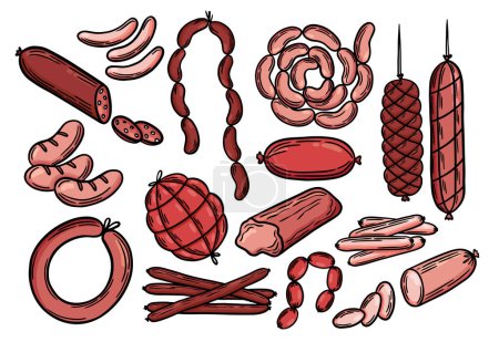 Diferentes tipos de salchichas detallan el contorno coloreado. Grabado de salchichas, ilustración de vectores de arte en línea. Productos cárnicos