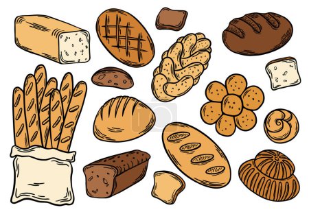 Different types of bread flat coloured outline. Bread engraving, line art vector illustration. Wheat products, baked goods, bakery, pastry