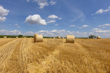 Photo for Corn field after harvest with stubble and straw bales. In the background a beautiful blue neve with white clouds. - Royalty Free Image