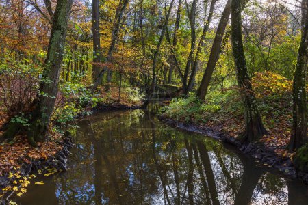 Un pequeño río que fluye a través de un lecho en un bosque frondoso de otoño. Un viejo puente arqueado se construye a través del río.
