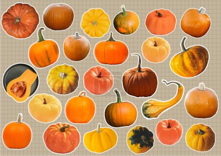 Illustration for Autumn season- pumpkin and squash stickers - Royalty Free Image