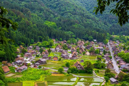 Foto de Patrimonio de la Humanidad Shirakawago Village es un pueblo agrícola situado en un valle a lo largo del río Shogawa, registrado como Patrimonio de la Humanidad por la UNESCO en 1995, Prefectura de Gifu, Japón. - Imagen libre de derechos