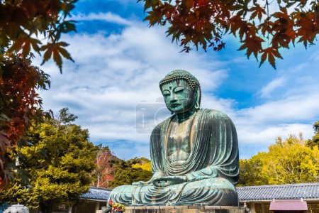 Téléchargez les photos : Daibutsu ou Grand Bouddha de Kamakura dans le temple Kotokuin à la préfecture de Kanagawa Japon avec des feuilles changeant de couleur C'est un point de repère important et une destination populaire pour les touristes et les pèlerins. - en image libre de droit