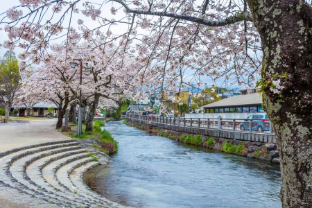Téléchargez les photos : Les cerisiers fleurissent au bord de la rivière Fujisan Hongu Sengen Taisha Shinto Temple à Fujinomiya célèbre sanctuaire et monument Shizuoka Japon - en image libre de droit