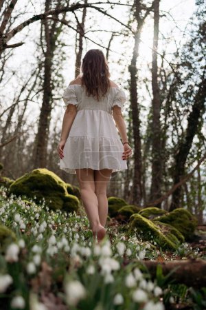 Photo for Snowdrops galanthus woman. She stands in a white dress on a meadow with snowdrops in a spring forest. - Royalty Free Image