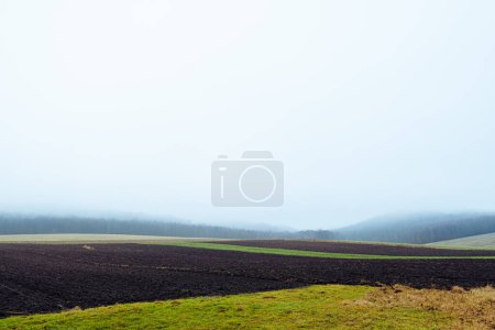 Téléchargez les photos : Fog above the agriculture field and forest. Panoramic view on autumn fields and hills. Plowed land - en image libre de droit