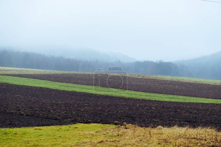 Téléchargez les photos : Fog above the agriculture field and forest. Panoramic view on autumn fields and hills. Plowed land - en image libre de droit